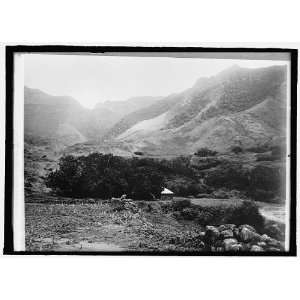 Photo Chile. Juan Fernandez Island 1908