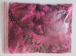  ) average 1 4 hot pink spotted guinea hen feathers, 14 colors  