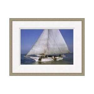  Skipjack Sails Choptank River Maryland Framed Giclee Print 