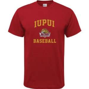   Jaguars Cardinal Red Youth Baseball Arch T Shirt