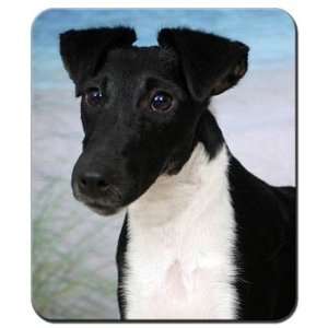  Smooth Fox Terrier Mousepad