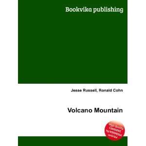  Volcano Mountain Ronald Cohn Jesse Russell Books