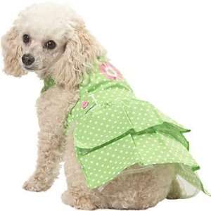   Smoochie Pooch Green Dot Apron Dog Dress, XX Small 