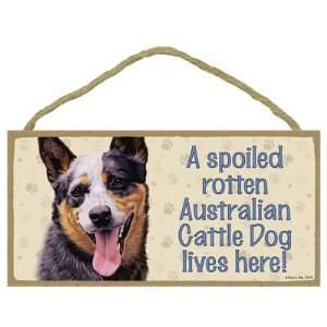  Australian Cattle Dog  A spoiled your favoriate dog breed 