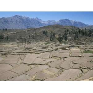 Field Patterns Near Chivay in Winter, Above the Colca Canyon, Peru 