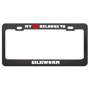 My Heart Belongs To Silkworm Animals Metal License Plate Frame Holder 