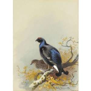 FRAMED oil paintings   Archibald Thorburn   24 x 24 inches   Black 