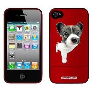 Papillon Puppy on AT&T iPhone 4 Case by Coveroo