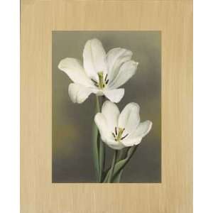  Tulipani by Andrea Trivelli. Size 37.75 inches width by 