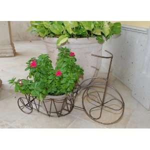  Daisy Metal Tricycle Planter and Basket Garden Planter 