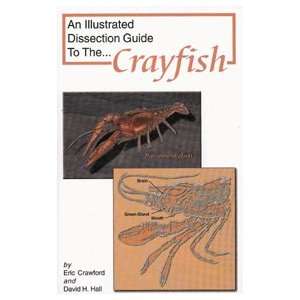  Dissection Guide to the Crayfish 