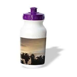  Florene Tropical Sunset   Shadowy Palms   Water Bottles 
