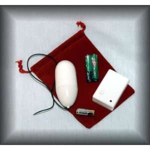   Control Wireless RED Pouch 2 inch Power Egg Ivory Style Spot Massager