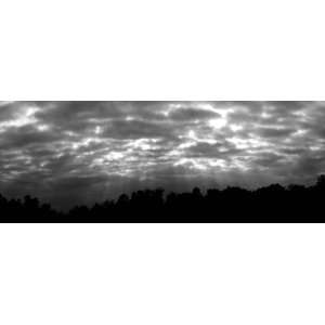  Panoramic Wall Decals   Crepuscular Sky (4 foot wide 