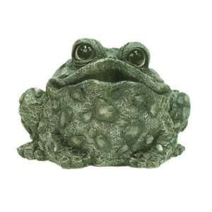  Croaking 5.5 Toad   Natural