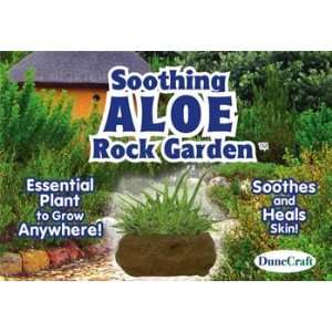    Dunecraft   Soothing Aloe Rock Garden (Science) Toys & Games