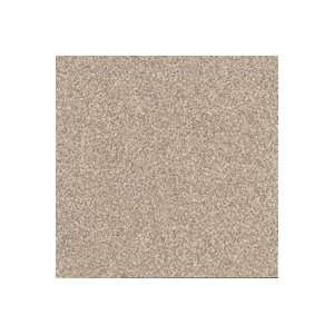  Armstrong Flooring 57205 Commercial Vinyl Composition Tile 