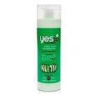 Yes to Cucumbers Color Care Conditioner 16.9 fl oz (500 ml)  