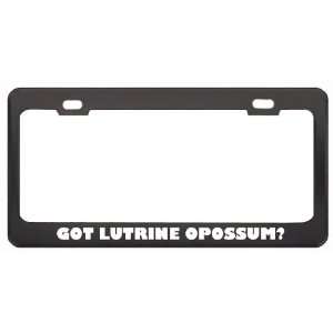 Got Lutrine Opossum? Animals Pets Black Metal License Plate Frame 