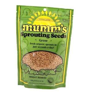 Wheat Berries Certified Organic Sprouting Seeds