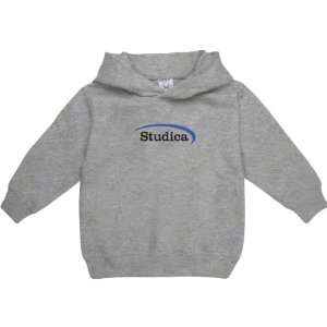   Sport Grey Toddler/Kids Logo Hooded Sweatshirt