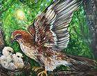 RED TAILED HAWK GICLEE of Painting Wildlife Bird of Prey Falcon Nest 