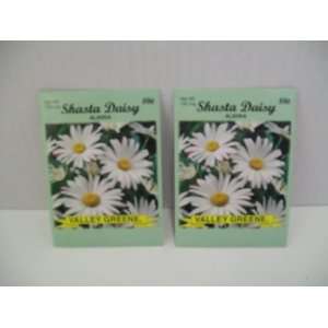 Shasta Daisy Alaska Seeds (2 Packs) Patio, Lawn & Garden