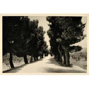  1937 Rural Road Provence Landscape France Photogravure 