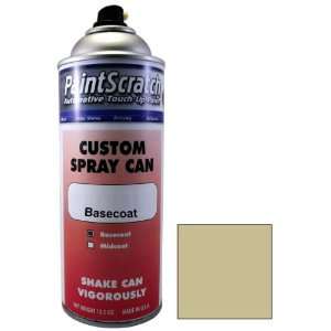 12.5 Oz. Spray Can of Warm Silver Metallic Touch Up Paint 