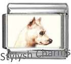 miniature pinscher dog photo italian charm 9mm 1 x dg281 single 