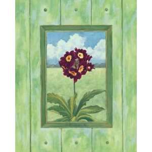  Primula Poster Print