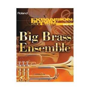  Roland SRX 10 Big Brass Ensemble Expansion Board Musical 