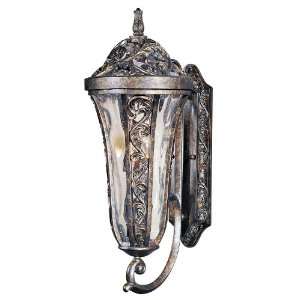 Montecito 4 Light 31 Tortoise Outdoor Wall Lantern with Water Glass 