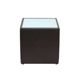   Steel End Table with Glass Top Mocca Bonded Leather