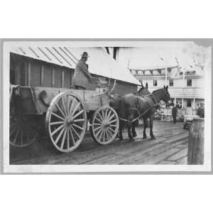  Man driving horse drawn wagon