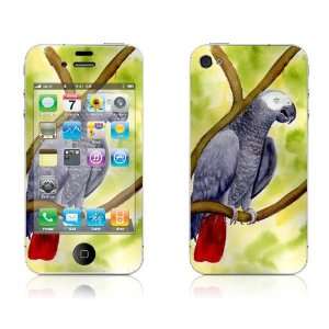  African Grey   iPhone 4/4S Protective Skin Decal Sticker 