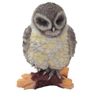 Cute Mini Owl   Gray Owl