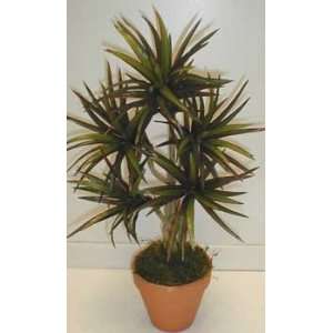 NEW Bendable Yucca Plant (red/green) 
