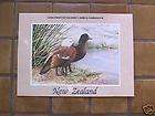 New Zealand 1994 First of Nation Adele Earnshaw Duck