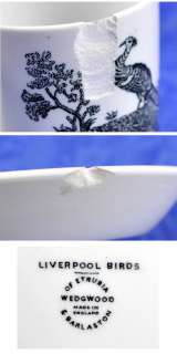 31 pc Demitasse Cup and Saucer Wedgwood Liverpool Birds  