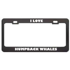  I Love Humpback Whales Animals Metal License Plate Frame 