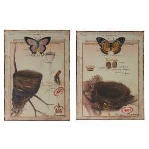  Imports Metal Wall Decor Set of Two Assorted Butterfly and Bird Nest 