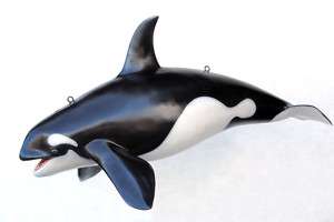Life Size Statue Baby Orca Killer Whale Shamu Fish Sm  