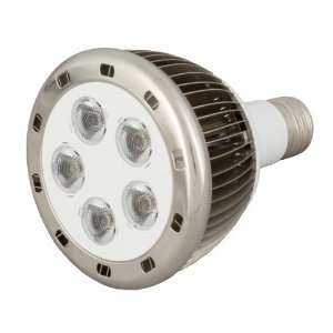  Power LED Spot Light Bulb, 10 Watt, Daylight White