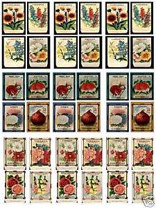 Vintage Seed Packets Collage Sheet B5  