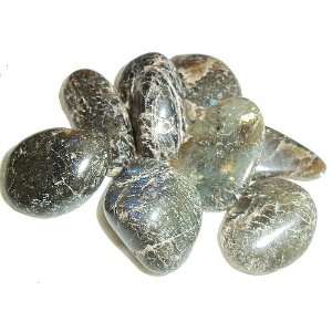  20 Labradorite Tumbled Stone Healing Crystal Energy 