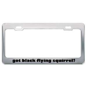 Got Black Flying Squirrel? Animals Pets Metal License Plate Frame 