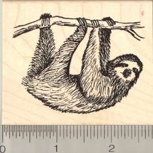  Large Sloth Rubber Stamp Arts, Crafts & Sewing