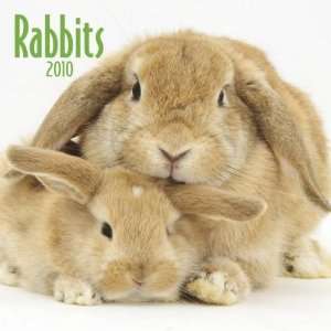  Rabbits 2010 Wall Calendar