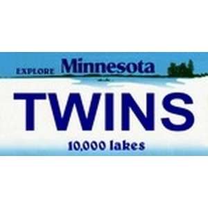 Minnesota State Background License Plates   Twins Plate Tag Tags auto 